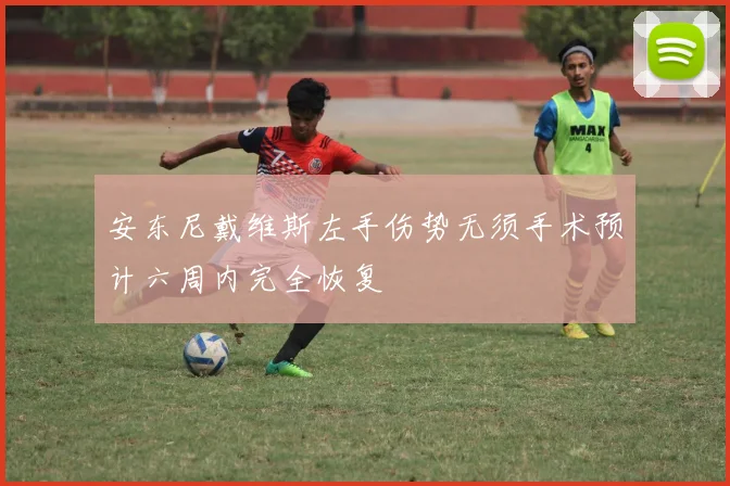 安东尼戴维斯左手伤势无须手术预计六周内完全恢复