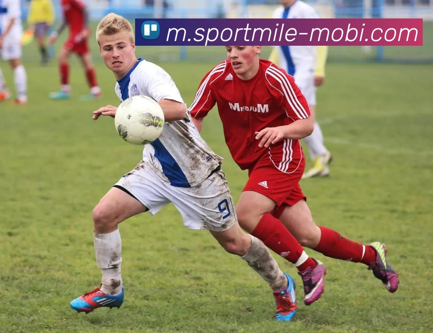 米乐体育服务体系